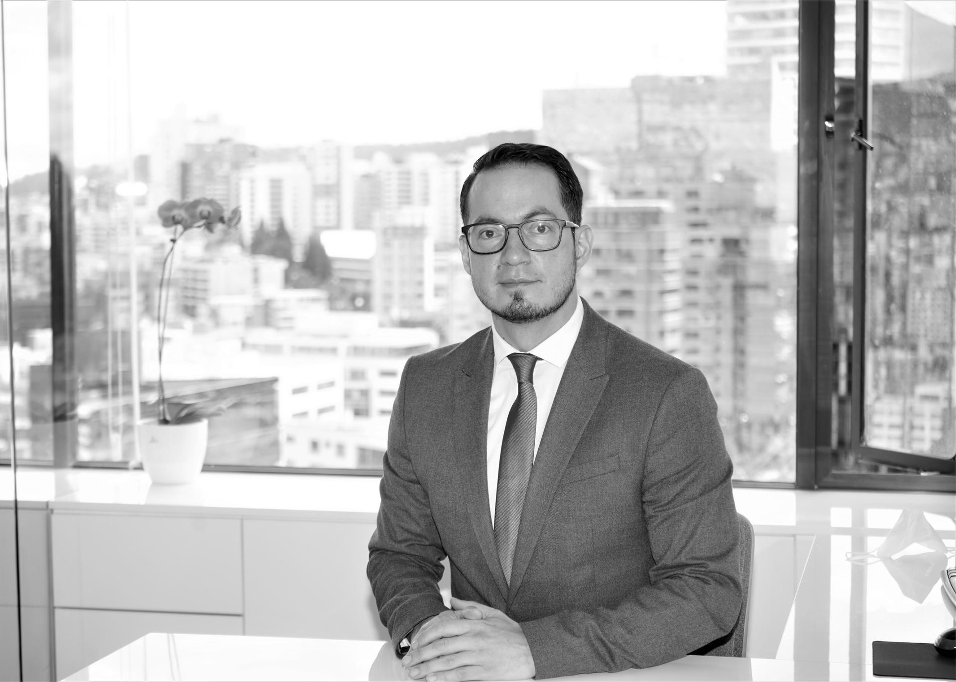 Consolidación y diversificación del estudio